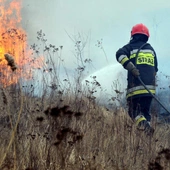 PSP podała tegoroczne dane dotyczące pożarów traw. Spowodowały ponad 1,3 mln zł strat