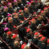 Synod2015.jpg
