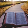 „Czy chcecie gardzić Kościołem?” – dziś Niedziela Narodowego Czytania Pisma Świętego