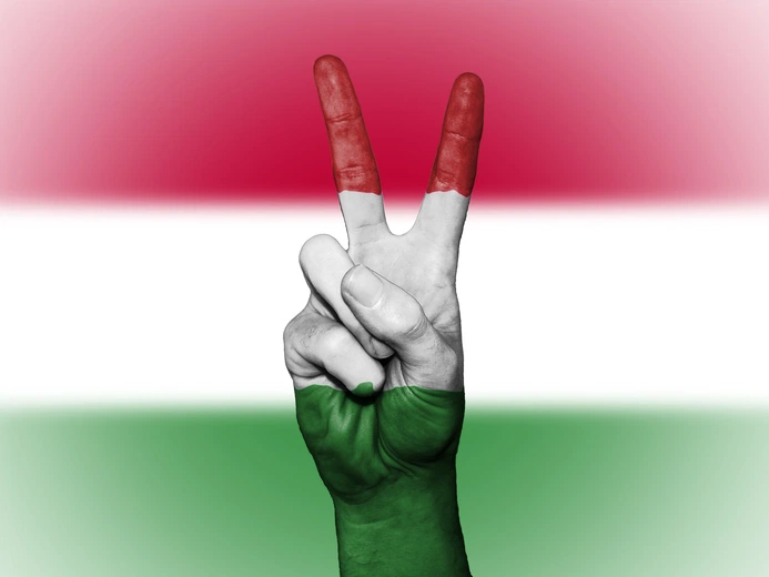 Prezydent Węgier prosi papieża o orędownictwo na rzecz pokoju. „Tak szybko jak to możliwe”
