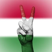 Prezydent Węgier prosi papieża o orędownictwo na rzecz pokoju. „Tak szybko jak to możliwe”