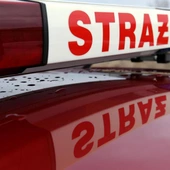 Komendant PSP: Polscy strażacy są gotowi pomóc Włochom w walce z powodzią