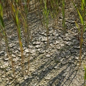 Hydrolodzy alarmują: Jest bardzo sucho. Wiele regionów Polski zmaga się z niedoborem wody