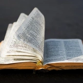 35 milionów – tyle egzemplarzy Biblii sprzedano na całym świecie w 2022 roku. To więcej niż rok wcześniej