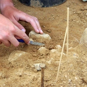 Archeolodzy po 30 latach wrócili do badania stanowiska związanego z neandertalczykiem. Naukowcy liczą na nowe fakty