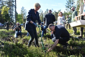 Prezydent RP i leśnicy wspólnie sadzili drzewa