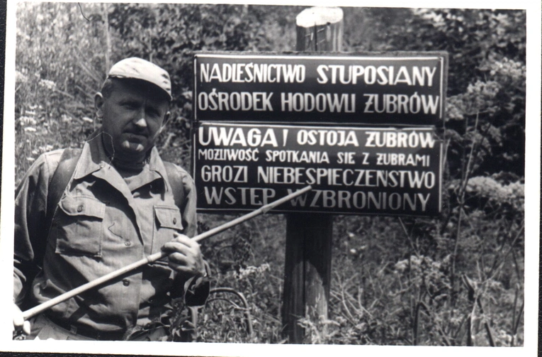 Minęło 60 lat od powrotu żubra w Bieszczady