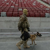 Służącym w wojsku psom będą nadawane stopnie wojskowe – od szeregowego do sierżanta