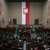 Co najmniej 500 mln zł z budżetu państwa ma być przeznaczone na finansowanie in vitro. Sejm przyjął ustawę