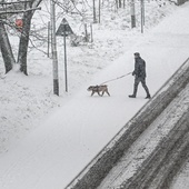 Sobota z silnymi opadami śniegu na południu Polski