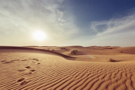 Głos na pustyni