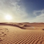 Franciszek: pokochajmy pustynię, aby być świadkami Chrystusa