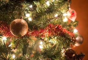 Protoplastą choinki było rajskie drzewko. Garść ciekawostek o Bożonarodzeniowej tradycji