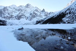 Tatry: bóbr-pionier spędzi kolejną zimę w Morskim Oku