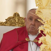 Papież w Niedzielę Palmową: otwórzmy serca przed pokornym Królem, odrzućmy nieludzką przemoc