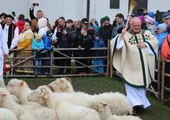 Bacowie rozpoczęli sezon u Gaździny Podhala. Owce muszą poczekać na cieplejszą pogodę