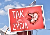 „Przecież nie da się z polską Konstytucją pogodzić zabijania ludzi”. Szósta rocznica wielkiego sukcesu