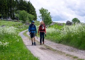 „Camino dla opornych”. Dwoje pogubionych ludzi rusza w Drogę św. Jakuba