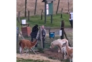 Prywatne ZOO w Łącznej: ekoaktywiści górą, zdrowy rozsądek uciekł wraz ze zwierzętami