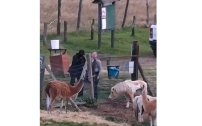 Prywatne ZOO w Łącznej: ekoaktywiści górą, zdrowy rozsądek uciekł wraz ze zwierzętami