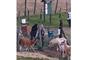 Policjant przecina ogrodzenie w ZOO w Łącznej