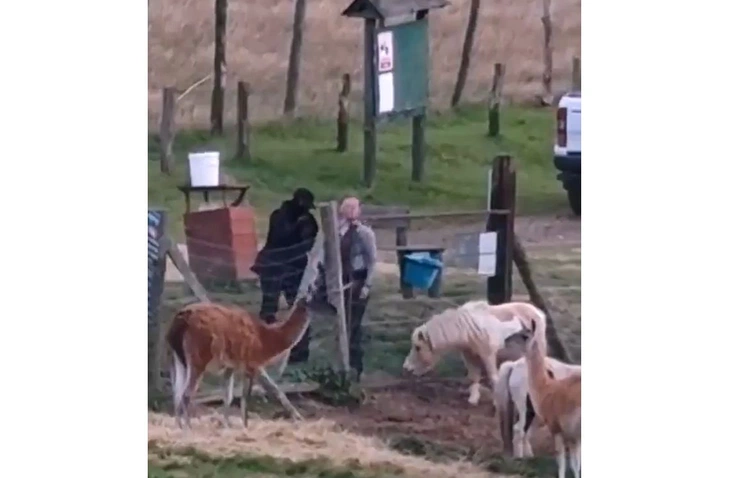 Policjant przecina ogrodzenie w ZOO w Łącznej