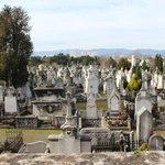 Widok ogólny na zabytkowy cmentarz w Lyonie